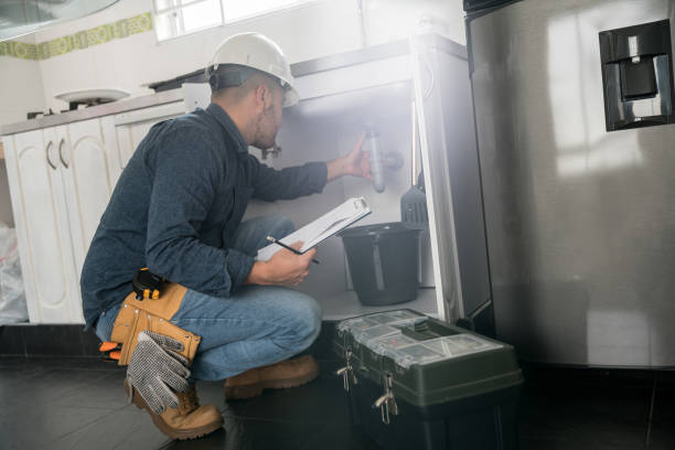 Best Local Plumber Services  in Renton, WA