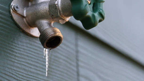 Best Same-Day Plumbing Service  in Renton, WA