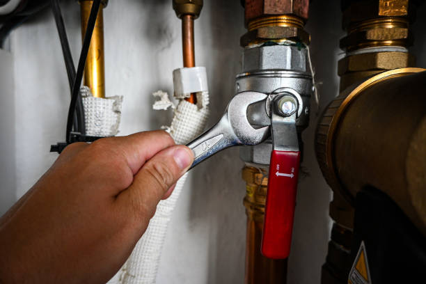 Best Sprinkler Systems  in Renton, WA